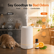 Lantixin Sweet Orange Essential Oil