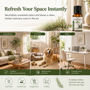 Lantixin Rosemary Essential Oil